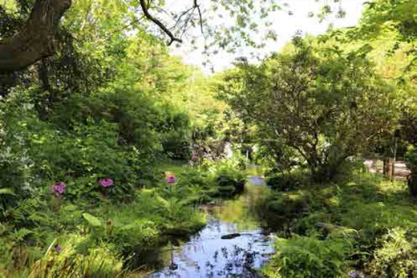 園内ガイド-世界の生態区