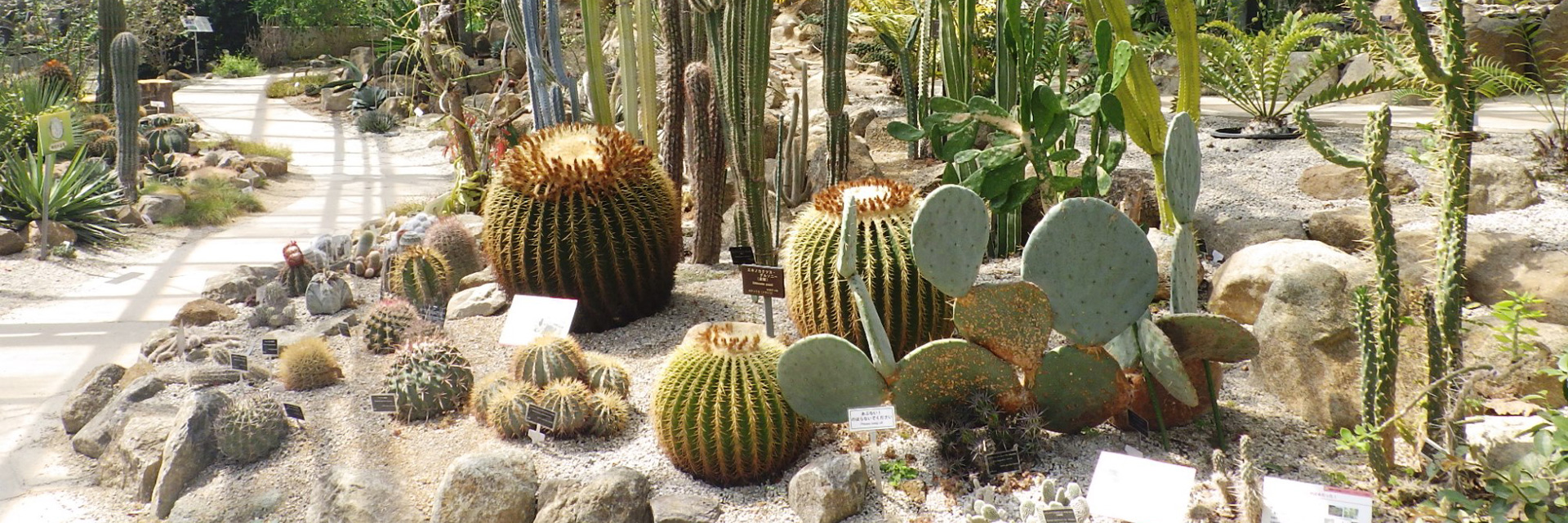 スライドショー2