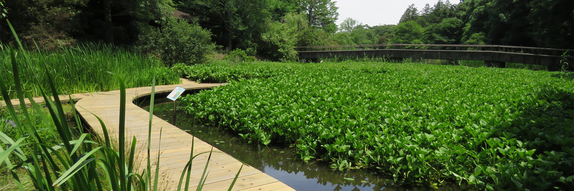 スライドショー3