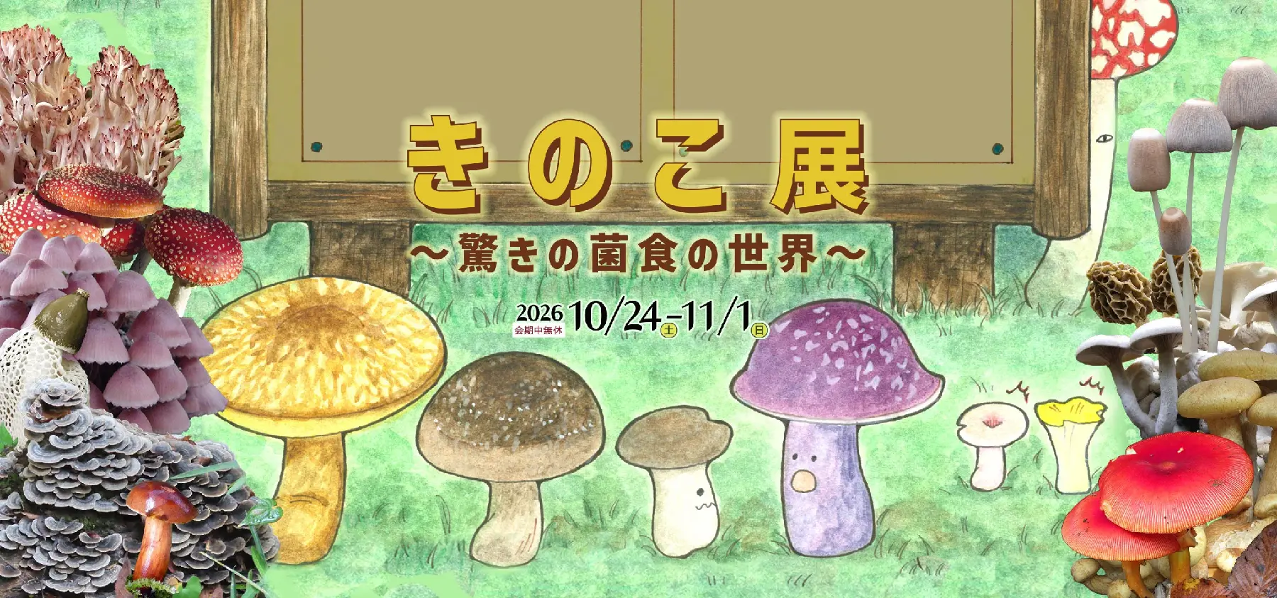 きのこ展2026