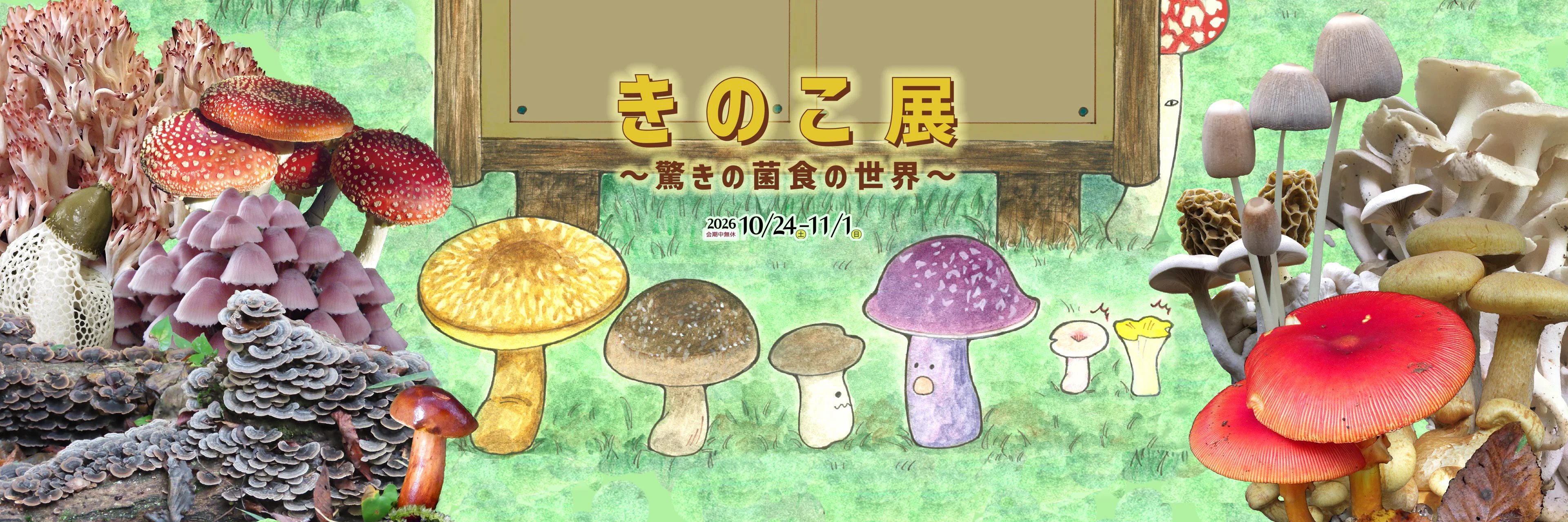 きのこ展2026