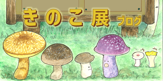 きのこ展ブログ・HPトップ用バナー