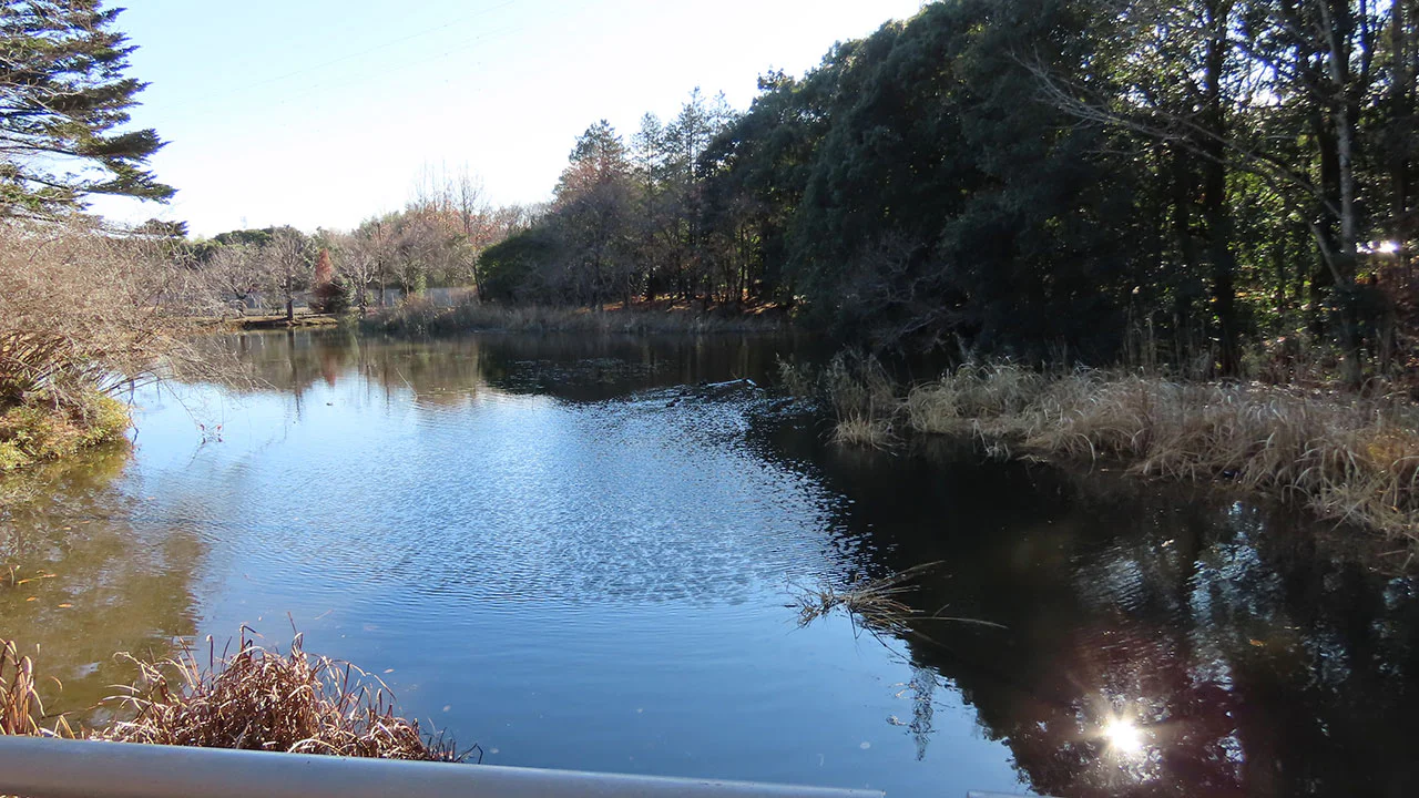 つくばね橋からの景色