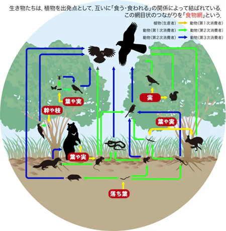 植物多様性とは02