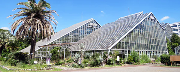 #17筑波実験植物園について