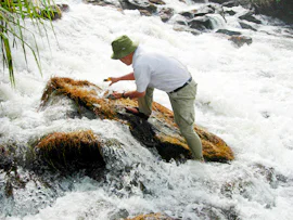 多様性を知る01