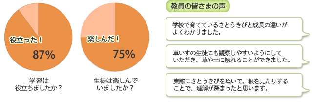 さとうきび夏10