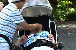 さとうきび夏08