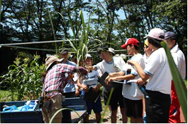 さとうきび夏03