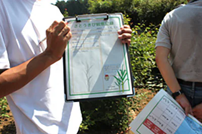 さとうきび秋03