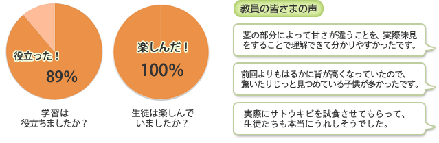 さとうきび秋07