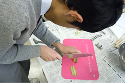 さとうきび冬06