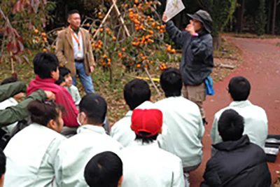 さとうきび冬01