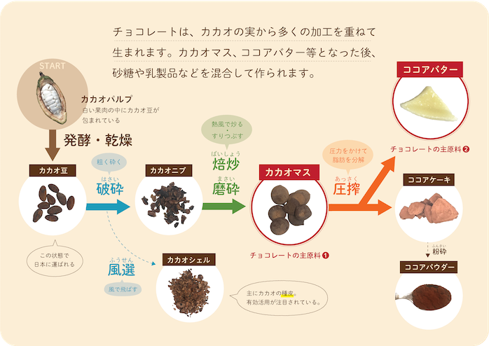 カカオからチョコレートができるまで