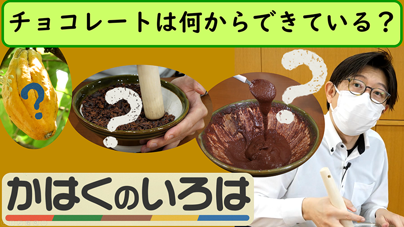 チョコレートは何からできている