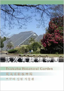 多言語化ガイドブック