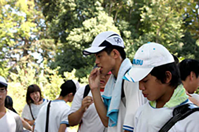 さとうきび秋05