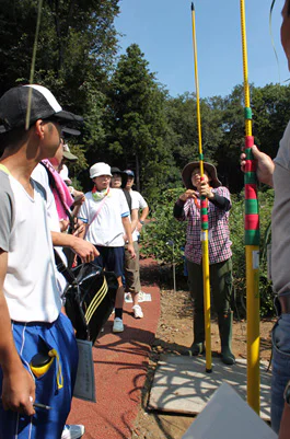 さとうきび秋01