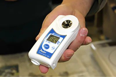 さとうきび冬09