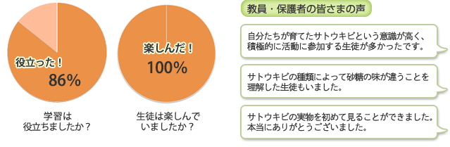 さとうきび冬11