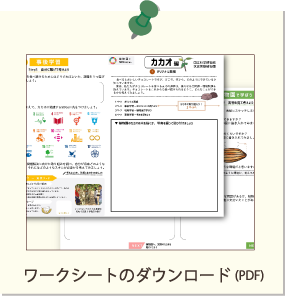 カカオ-ワークシート