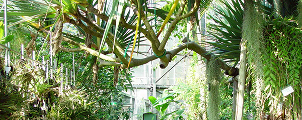 #17植物園が目指すもの