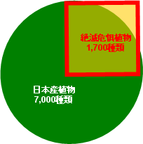 植物多様性とは04