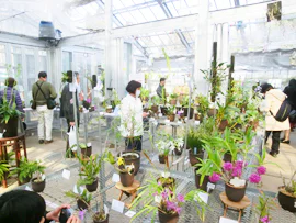 多様性を伝える01