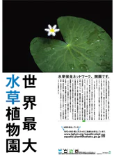 絶滅危惧植物保全21