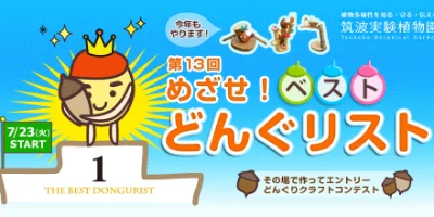topUnder-めざせ！ベストどんぐリスト