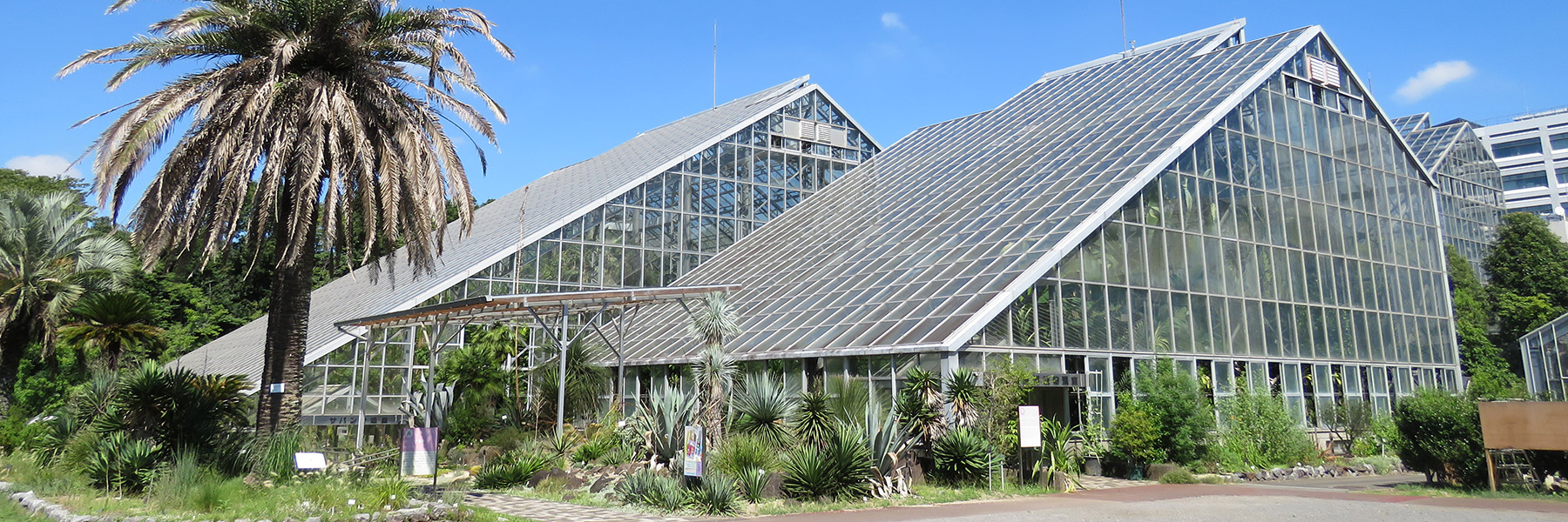 トップページ画像①