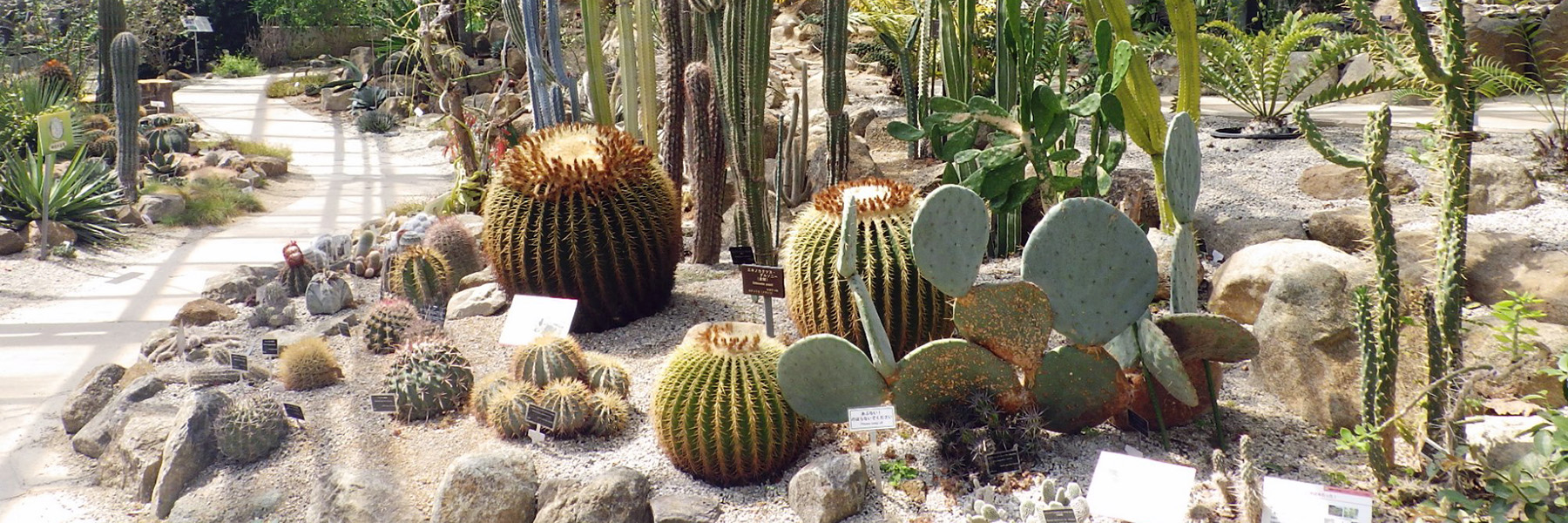 トップページ画像②