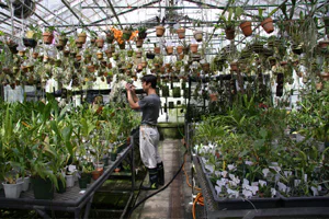 植物園が目指すもの02