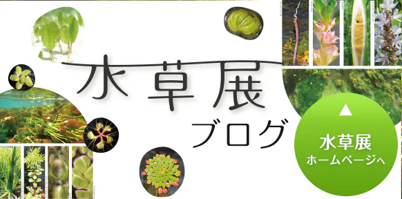 水草展ブログ-sp