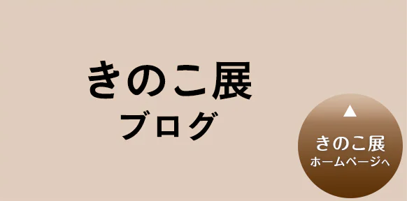 きのこ展ブログ-sp