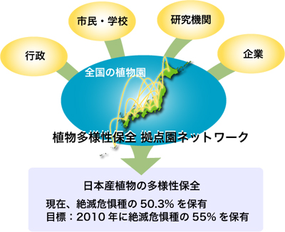 植物多様性保全 拠点園ネットワーク（日本産植物の多様性保全 現在、絶滅危惧種の50.3%を保有 目標:2010年に絶滅危惧種の55%を保有）　イメージ