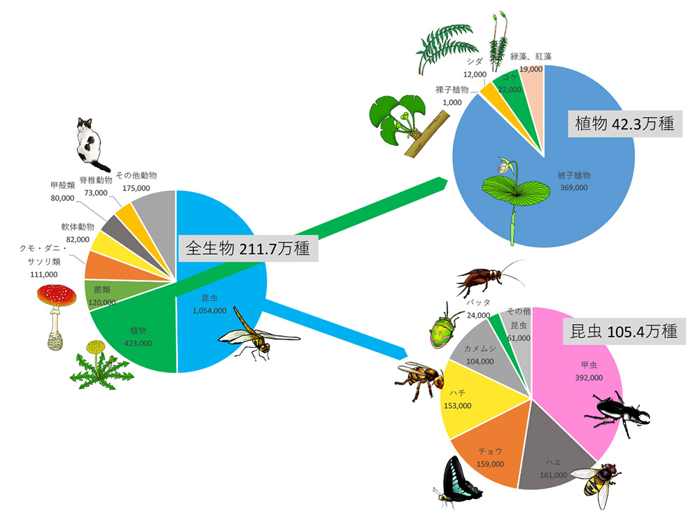 生物多様性円グラフ