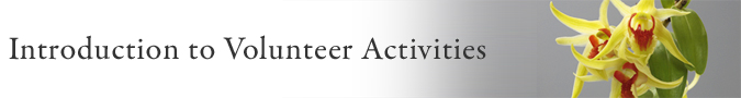 Introduction to Volunteer Activities
