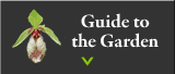 Guide to the Garden