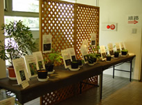 Exhibits of living specimens of endangered plants image02