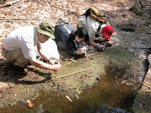 1. Understanding Biodiversity