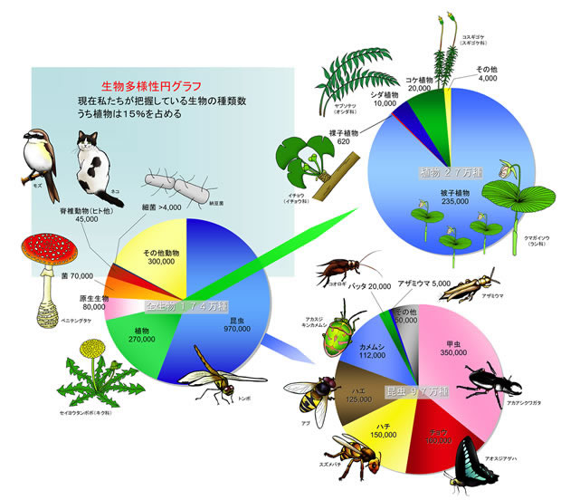 Biodiversity Pie Chart