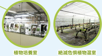 植物培養室と絶滅危惧植物温室の写真