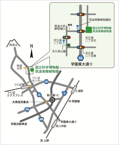 筑波実験植物園 アクセスマップ