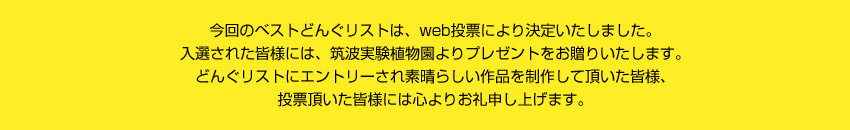 来園者の皆さまとウェブでの投票数にて、ベストどんぐリストが決定いたしました。入選された皆さまには、筑波実験植物園よりプレゼントをお贈りいたします。どんぐりストにエントリーされ素晴らしい作品を制作していただいた皆様、投票いただいた皆様には心よりお礼申し上げます。