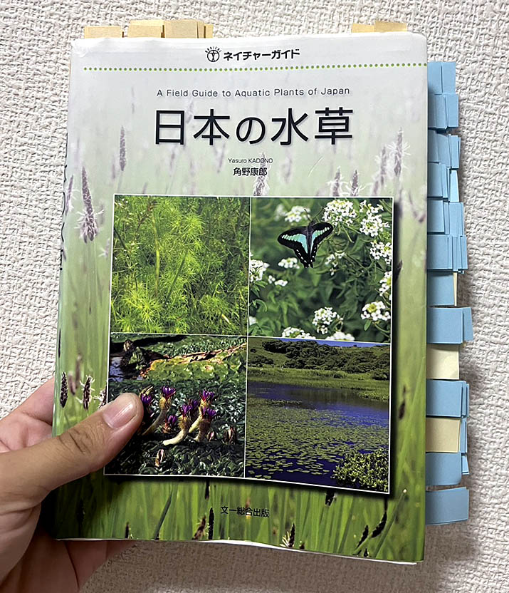 ネイチャーガイド 日本の水草