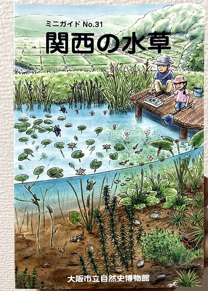 関西の水草