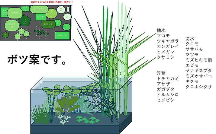 水槽レイアウトの設計図