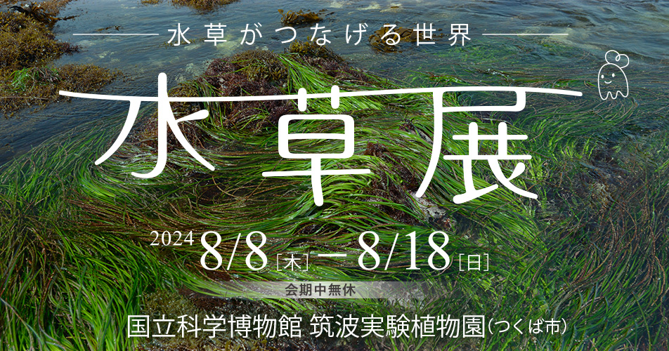 ファッション 通販 水草展2024 - Museum National 国立科学博物館 筑波実験植物園:: 生物学