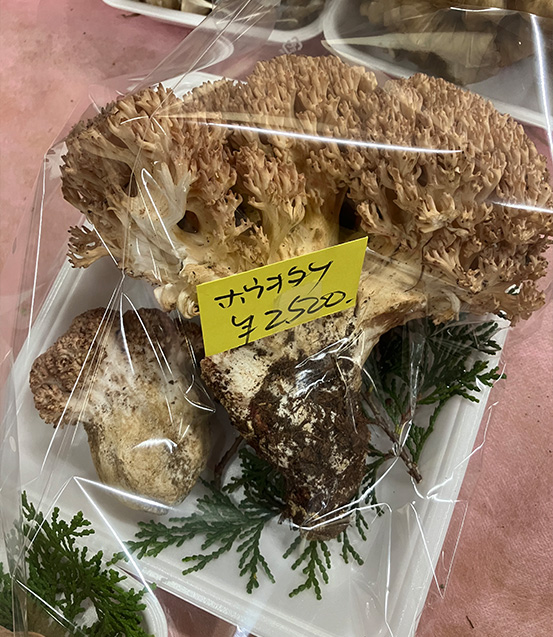 石川県の売店にならぶホウキタケ